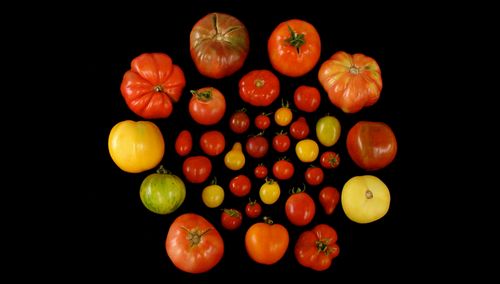 Как вернуть томатам их первозданный аромат