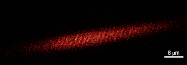 Сканирующая электронная микроскопия бозе-эйнштейновского конденсата ультрахолодных атомов