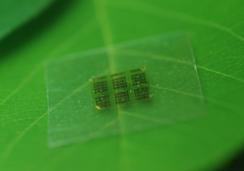 Создан чип, «почти полностью состоящий из дерева»