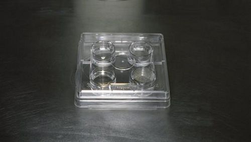 Ученые успешно вырастили человеческие яйцеклетки в условиях лаборатории