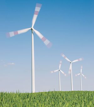 Ветряные турбины содействуют росту сельскохозяйственных культур